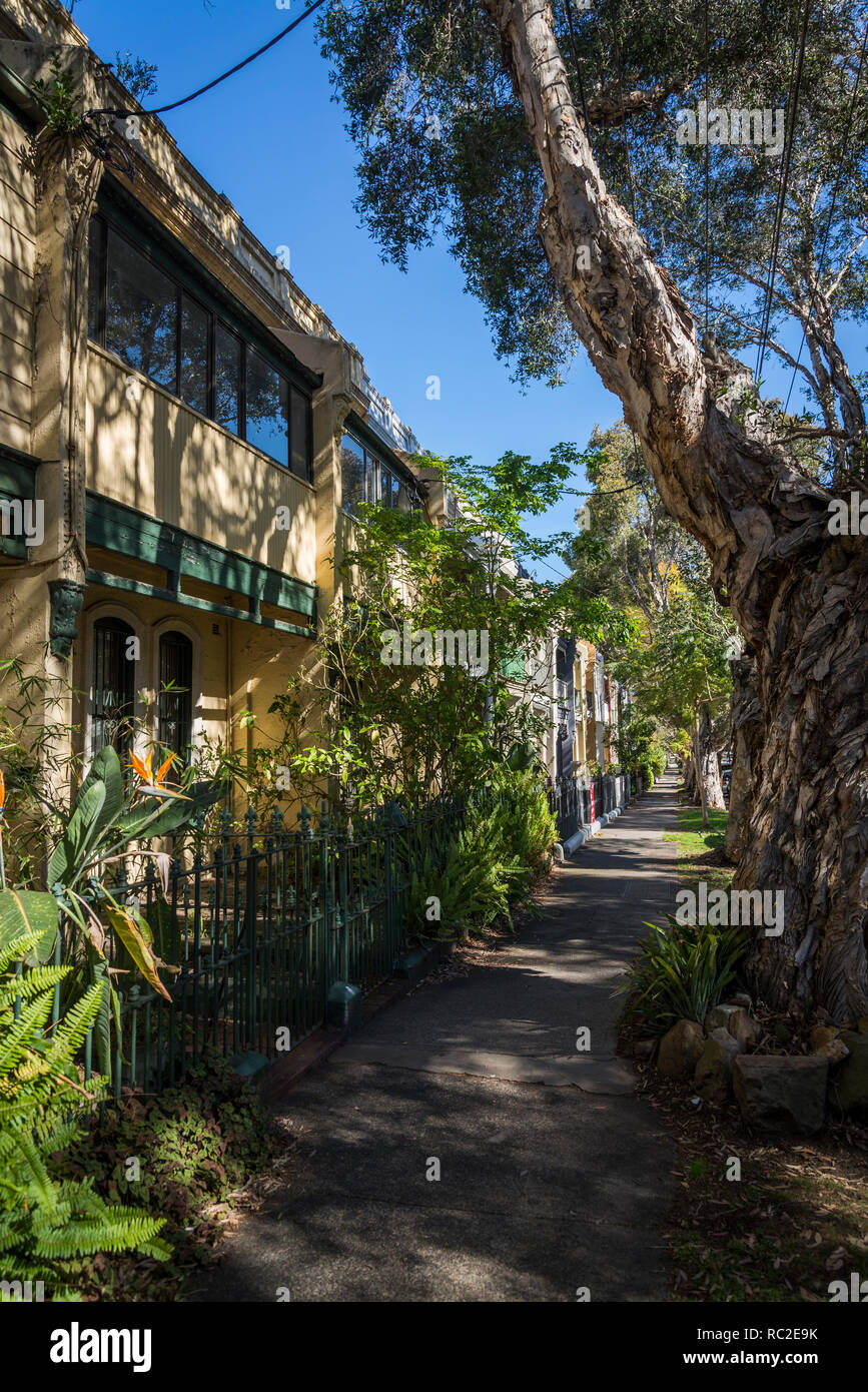 Case terrazza interna sobborgo occidentale di Waterloo, Sydney, NSW, Australia Foto Stock