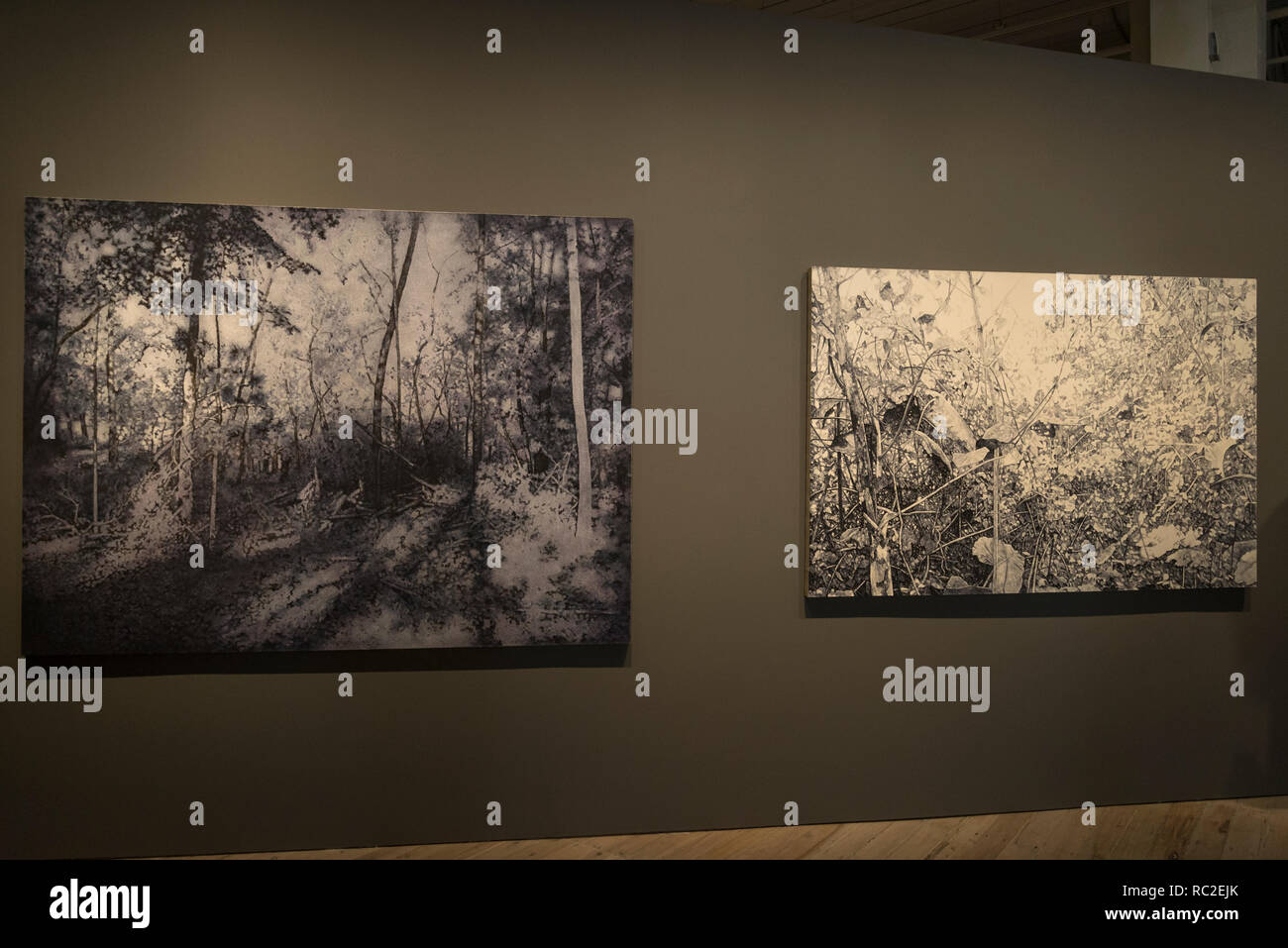 Coniglio Bianco Gallery, 'Supernatural' mostra d'Arte Cinese, Chippendale, Sydney, Australia Foto Stock