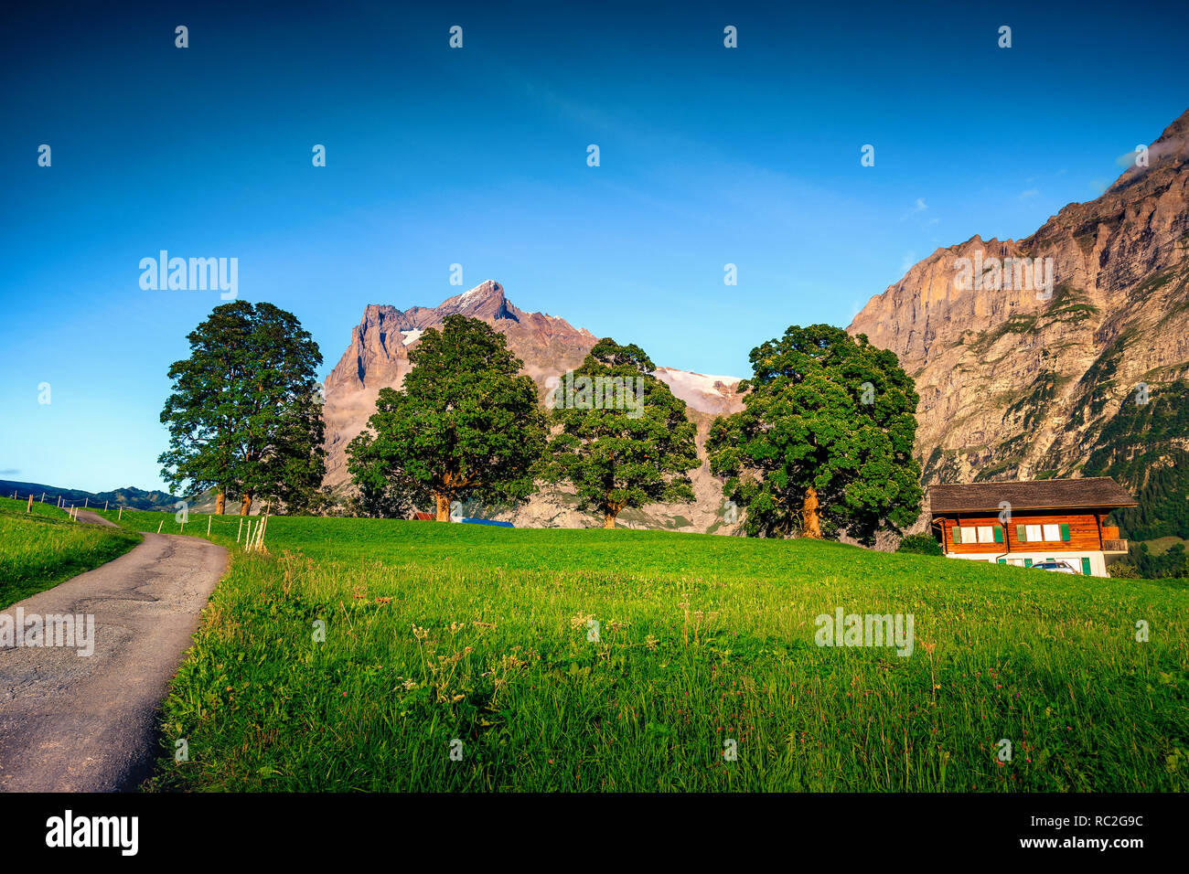 Bellissimo prato verde e pascolo con spettacolare fattoria rurale a Grindelwald Mountain Village. Fantastica estate paesaggio alpino nell Oberland Bernese, Foto Stock