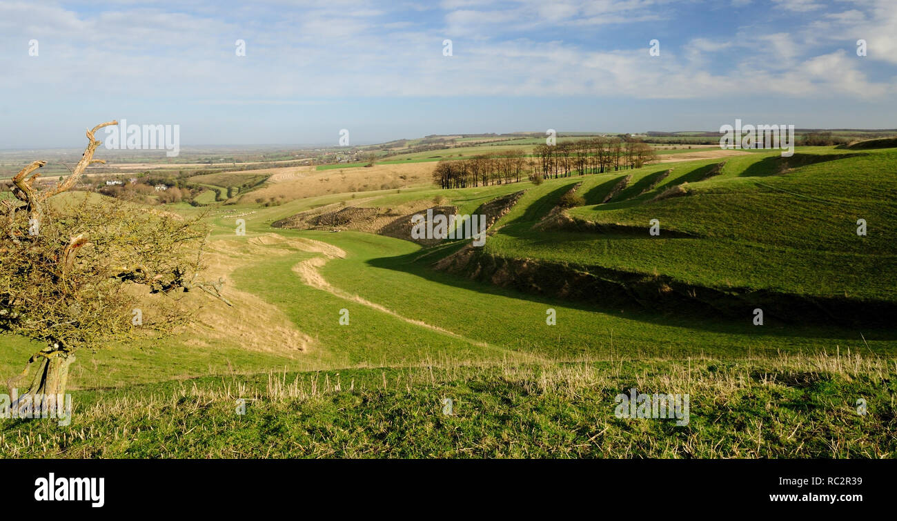 Strip lynchets sulla collina vicino Bishopstone, North Wiltshire. Foto Stock