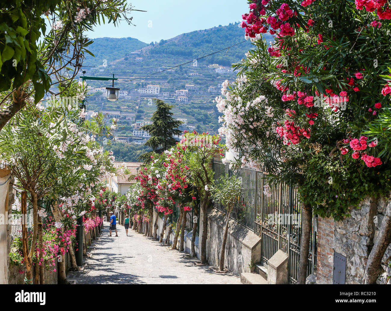 Strada di Ravello, Amalfi, Italia, Europa Foto Stock