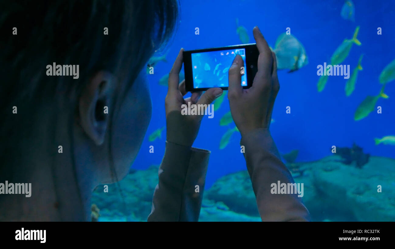 Donna di scattare le foto dei pesci con lo smartphone. Tecnologia e concetto di intrattenimento Foto Stock