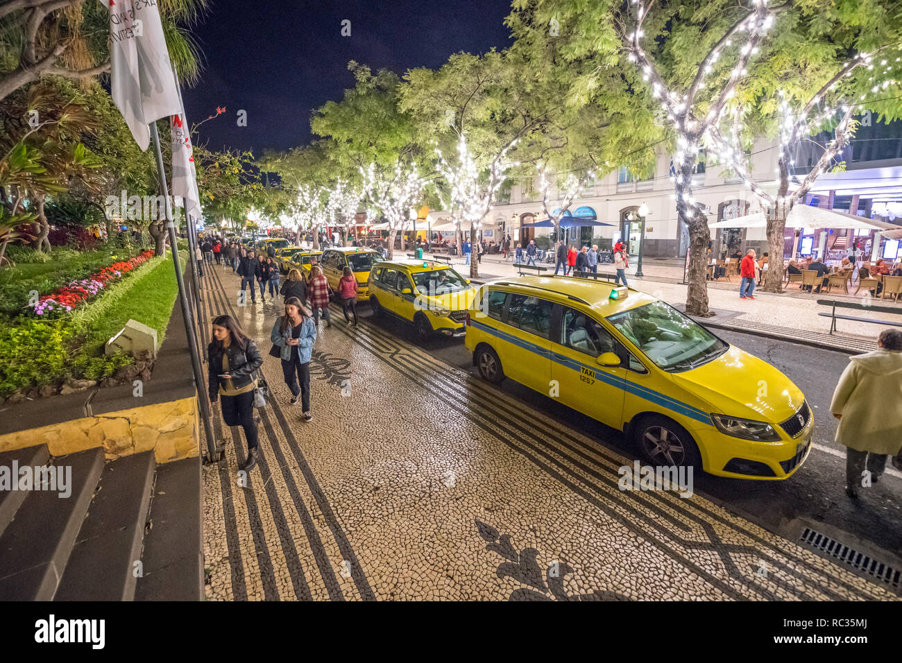 La gente camminare lungo il viale alberato 'Avenida atrimonio' in Funchal, Madeira durante la notte. Foto Stock