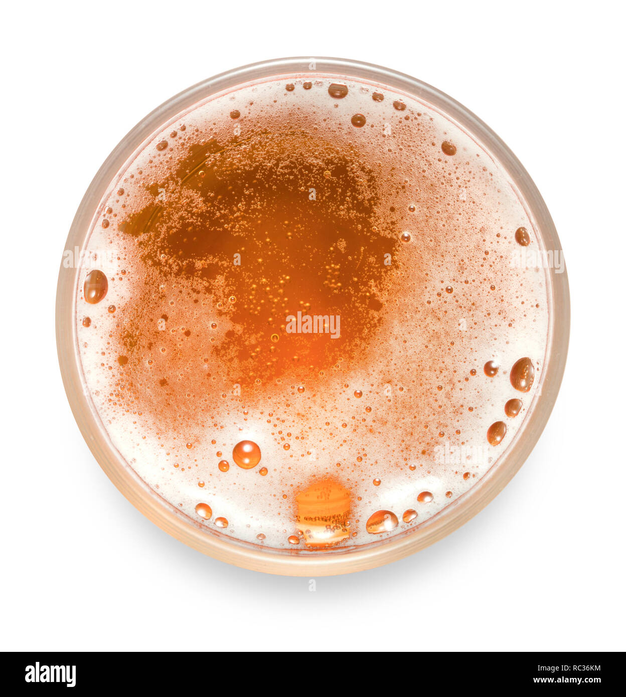 Vista superiore della tazza di birra isolato su sfondo bianco Foto Stock