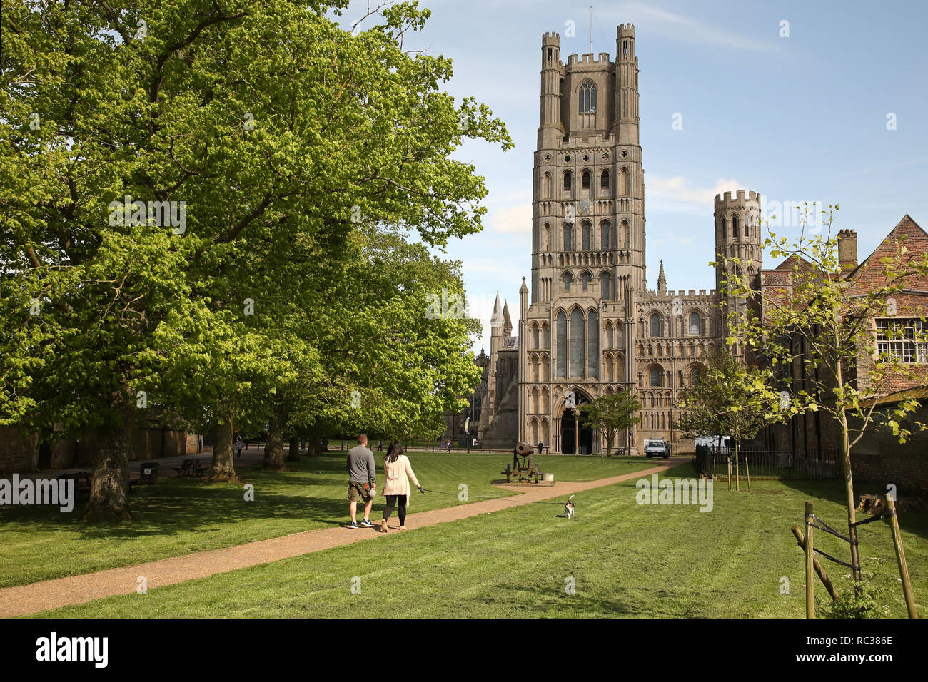 La Cattedrale Anglicana nella città di Ely, Cambridgeshire, Inghilterra che risale al XI secolo Foto Stock