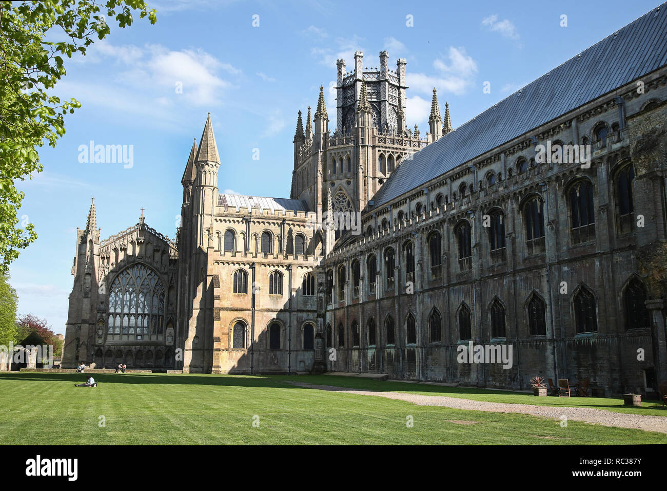 La Cattedrale Anglicana nella città di Ely, Cambridgeshire, Inghilterra che risale al XI secolo Foto Stock