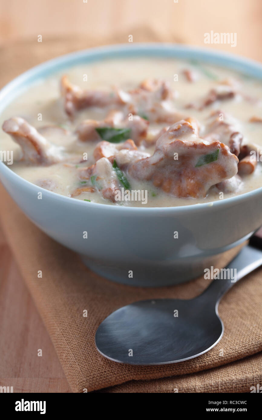 Minestra di crema con finferli e coriandolo closeup Foto Stock