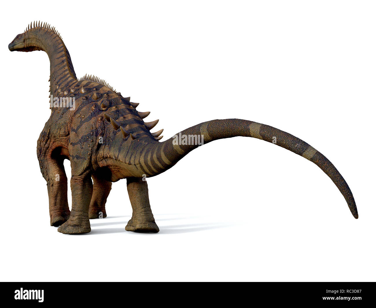 Alamosaurus dinosauro - Alamosaurus era un titanosaur sauropod dinosauro erbivoro che visse in Nord America durante il Cretacico. Foto Stock
