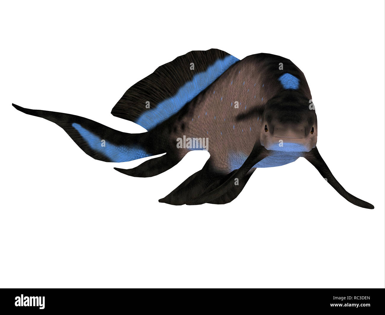 Scaumenacia pesce - Scaumenacia era un primitivo jawless pesci che vivevano negli oceani del Periodo Devoniano. Foto Stock