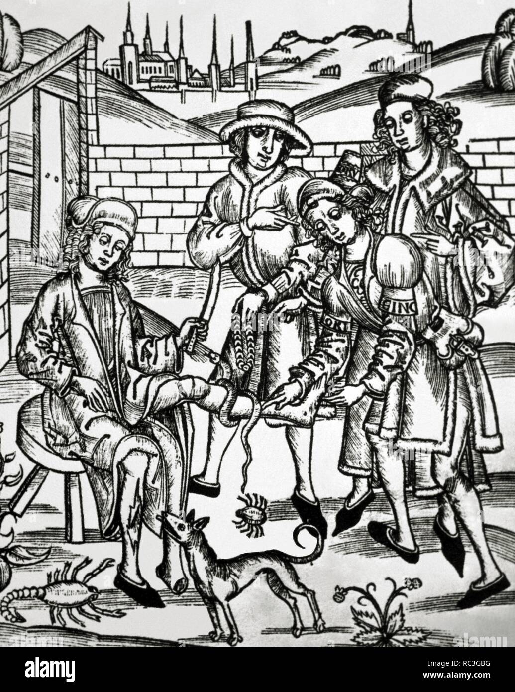 La medicina. Xv secolo. Un uomo è indurito a causa della Leda causati da animali pericolosi: un cane rabbioso, uno scorpione e un serpente. Xilografia in 'Dies ist das buch der chirurgia" (questo è il libro della chirurgia). Foto Stock