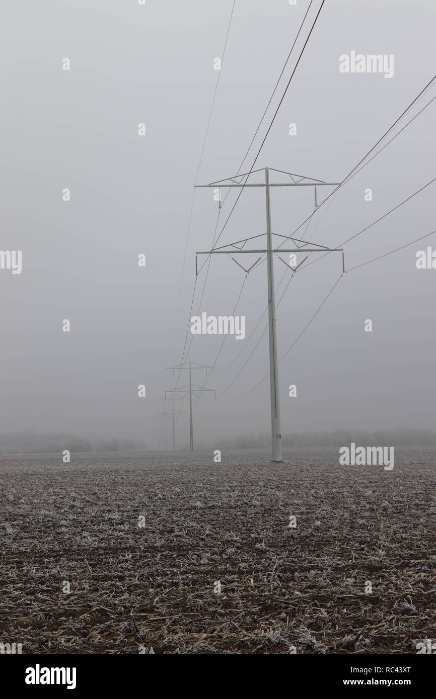 Alta linee di alimentazione nella nebbia Foto Stock