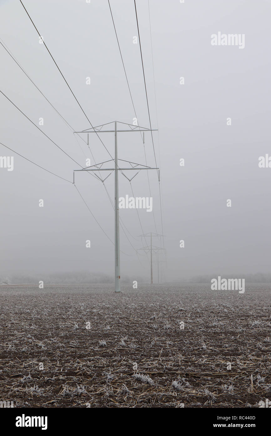 Alta linee di alimentazione nella nebbia Foto Stock
