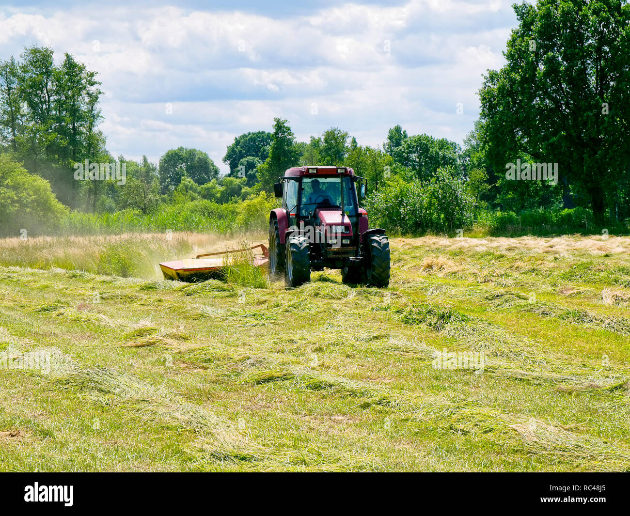 Agricoltore sul suo trattore accoppiato con un grassmower la falciatura di un prato in Barum, Elbmarsch, Bassa Sassonia, Germania Foto Stock