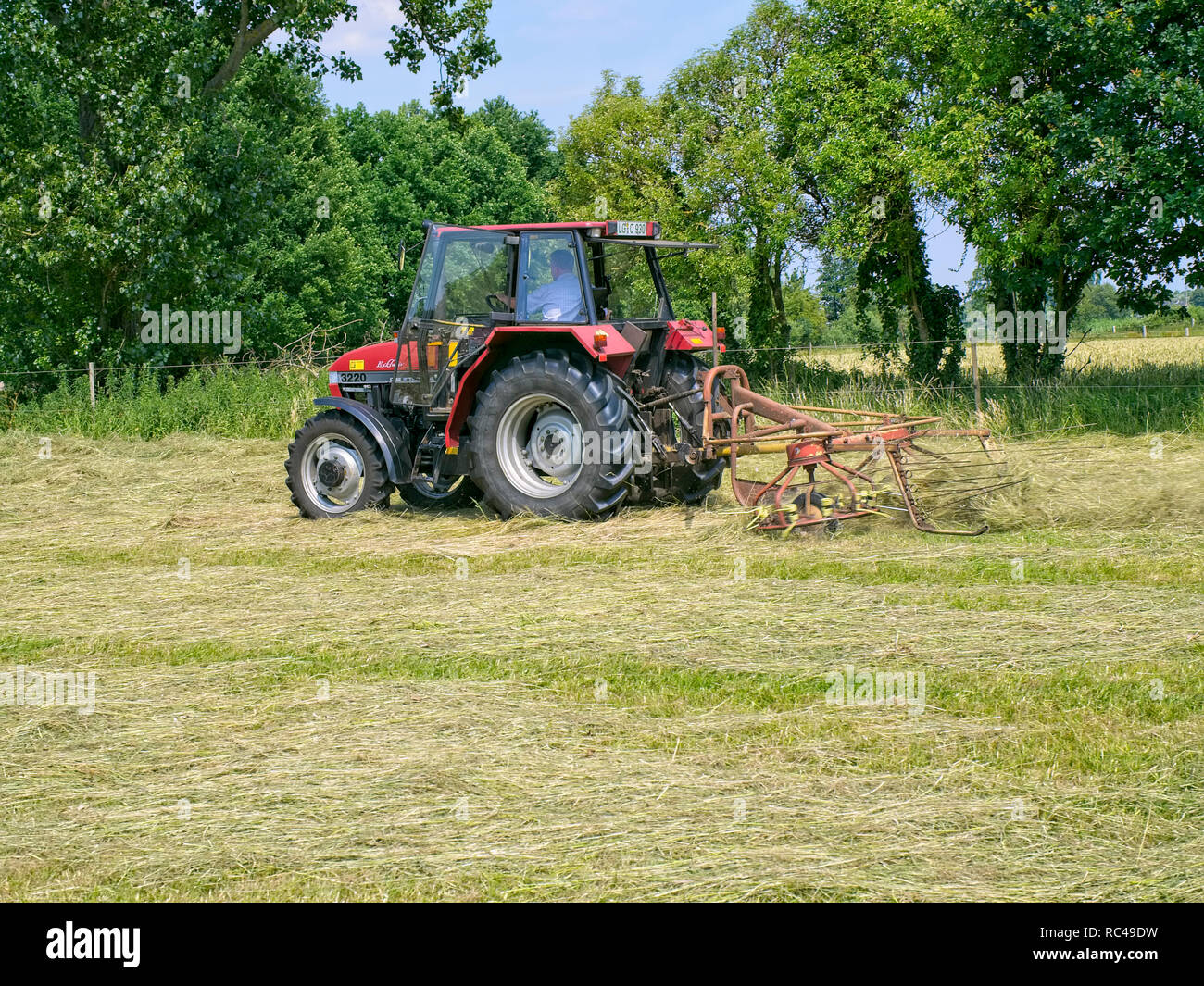 Mobile voltafieno in azione su un prato falciato in Bassa Sassonia vicino Barum, Elbmarsch, Germania. Foto Stock