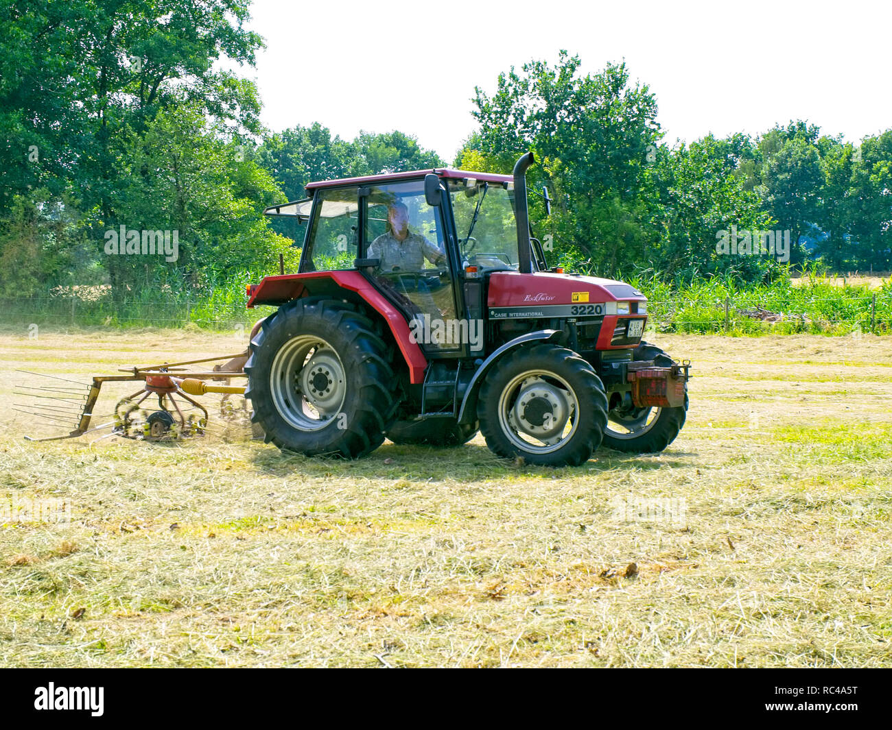 Mobile voltafieno in azione su un prato falciato in Bassa Sassonia vicino Barum, Elbmarsch, Germania. Foto Stock