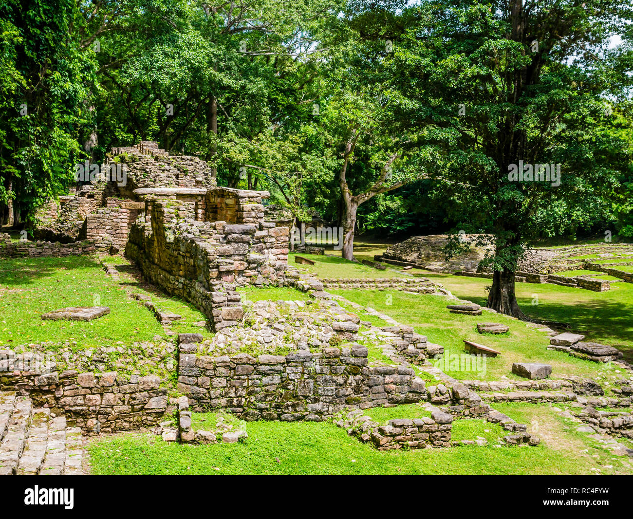 Antiche rovine maya di Yaxchilan parco archeologico, Chiapas, Messico Foto Stock