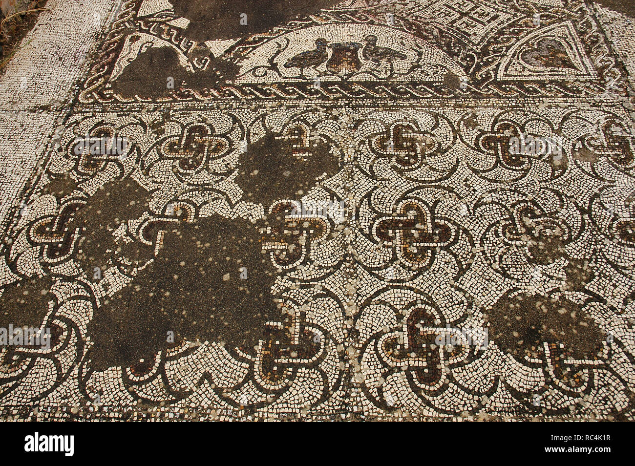 Villa romana di Pisoes. Pavimento a mosaico raffigurante geometrici e motivi naturalistici. Il Portogallo. L'Alentejo. Beja. Foto Stock