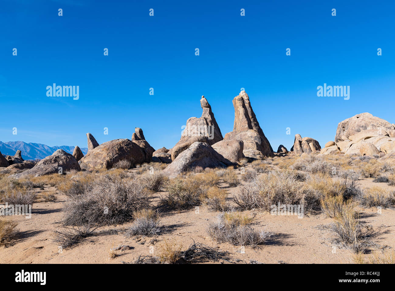 Diagonale di formazioni rocciose e salvia in Alabama colline della California, Stati Uniti d'America Foto Stock