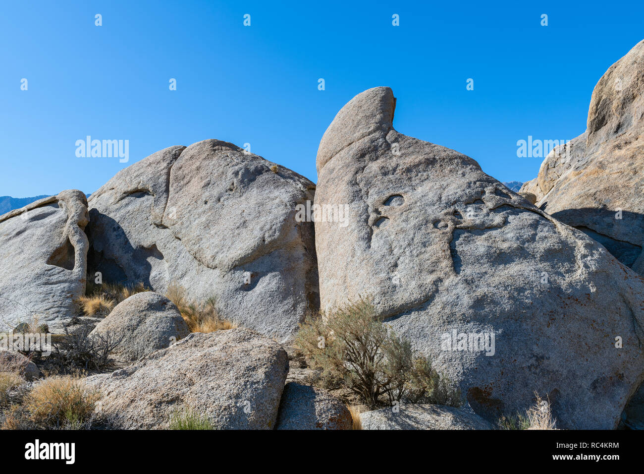 Le formazioni rocciose e salvia in Alabama colline della California, Stati Uniti d'America Foto Stock