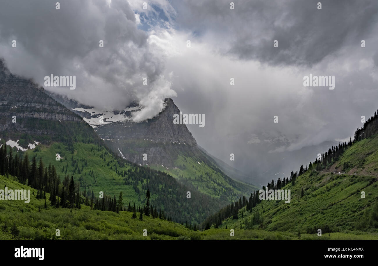 La pioggia nella valle sottostante Mt Oberlin da Logan pass Foto Stock