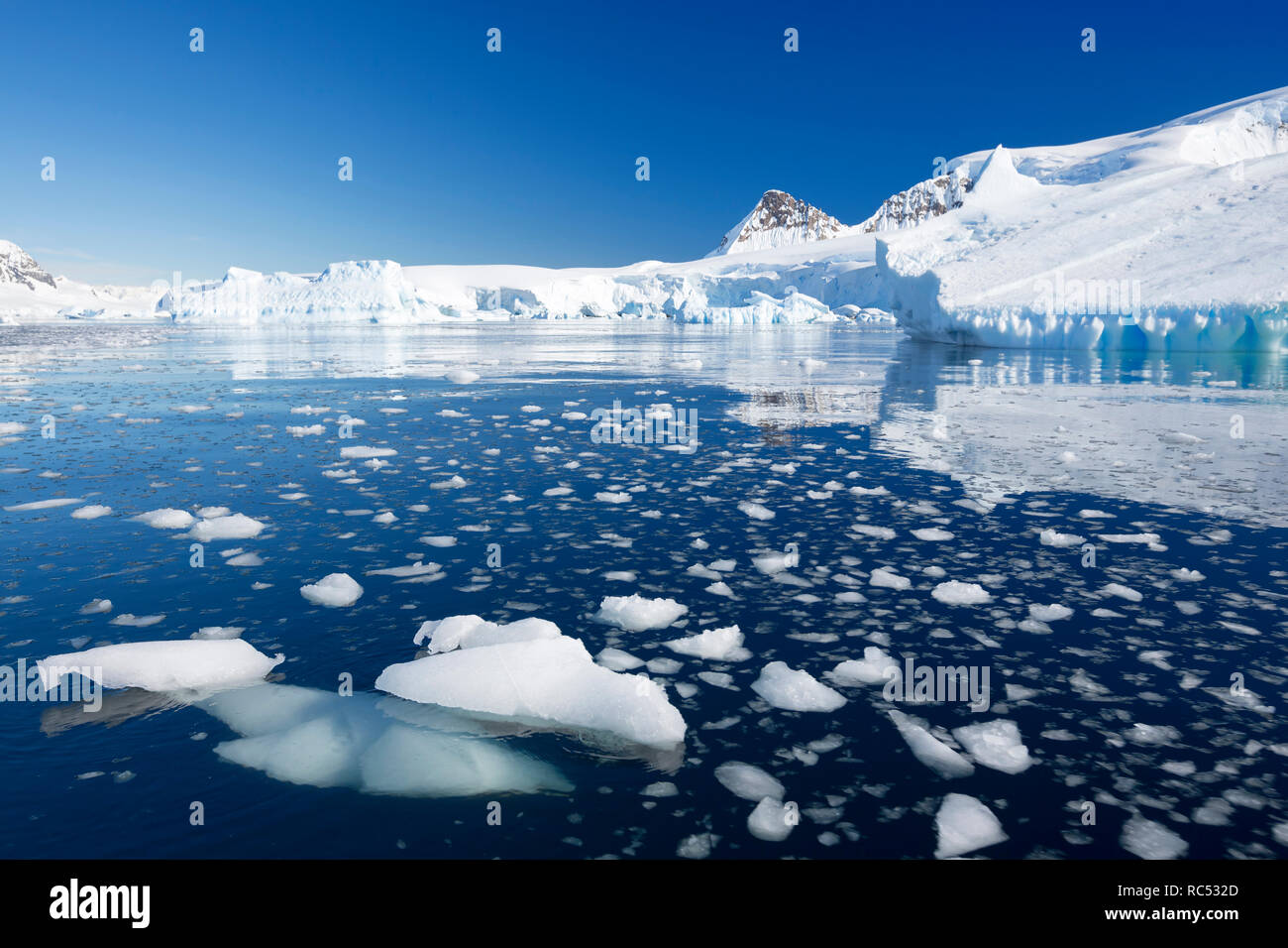 Natura e paesaggi dell'Antartide. Lo studio del fenomeno del riscaldamento globale del pianeta. Iceberg e CIEM. Abitanti dell'Oceano del Sud. Foto Stock