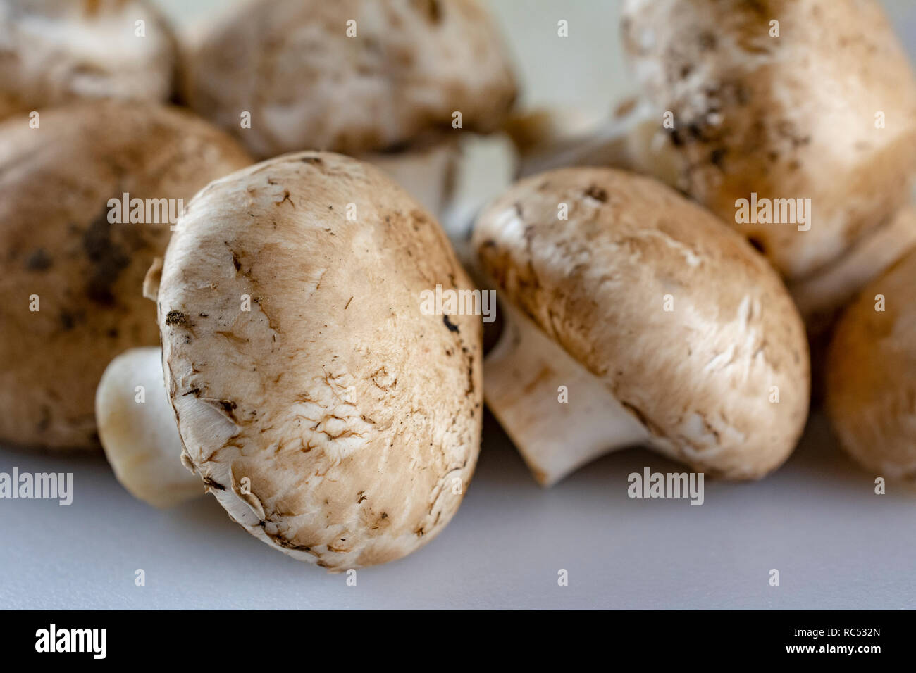 Gruppo del pulsante bianco di funghi su un taglio bianco bordo. Foto Stock
