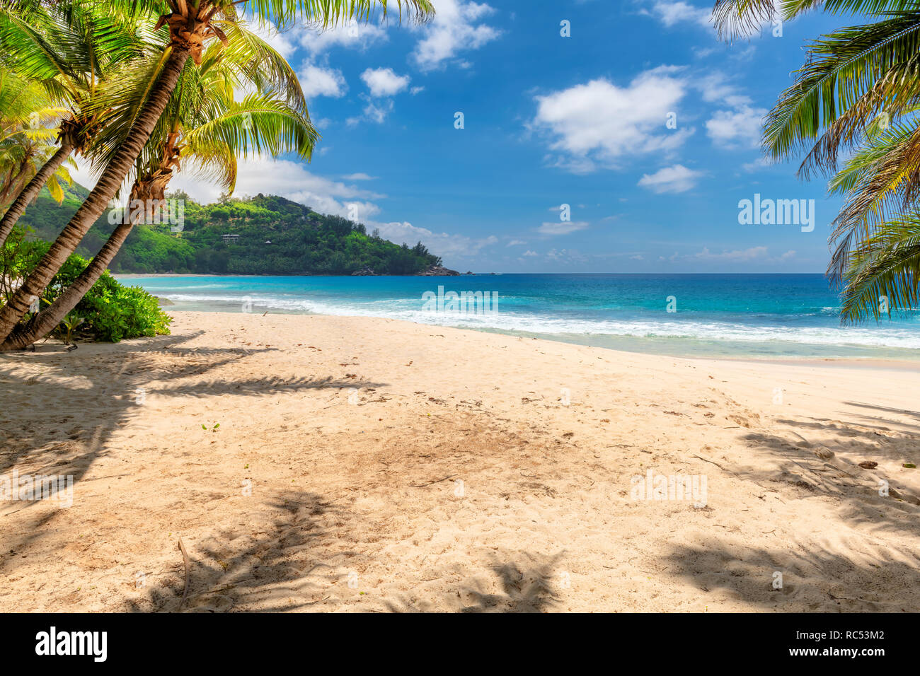 Spiaggia di sabbia con palme e mare turchese in isola dei Caraibi. Foto Stock