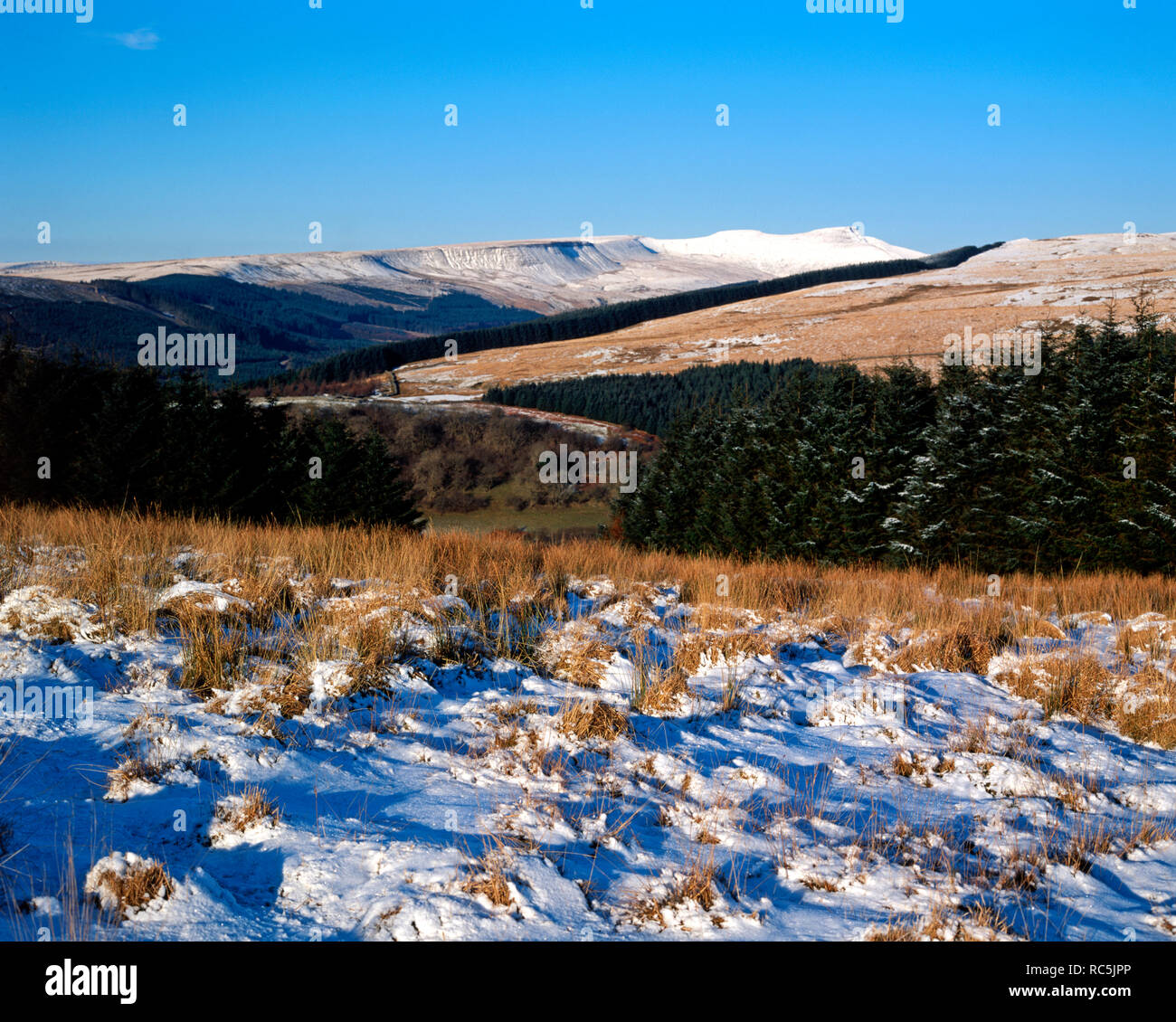 Il Brecon Beacons da Dol Y Gaer, Taf Fechan, Parco Nazionale di Brecon Beacons, Powys, Wales, Regno Unito. Foto Stock