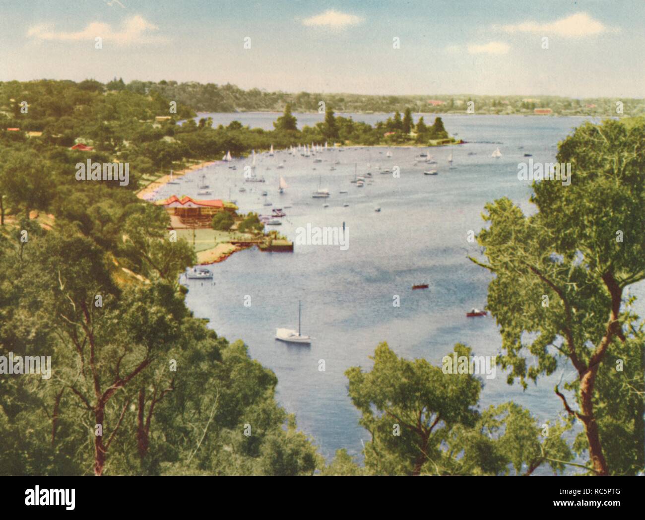 'Mosman Bay, punto Keanes, menta piperita Grove', C1947. Creatore: sconosciuto. Foto Stock