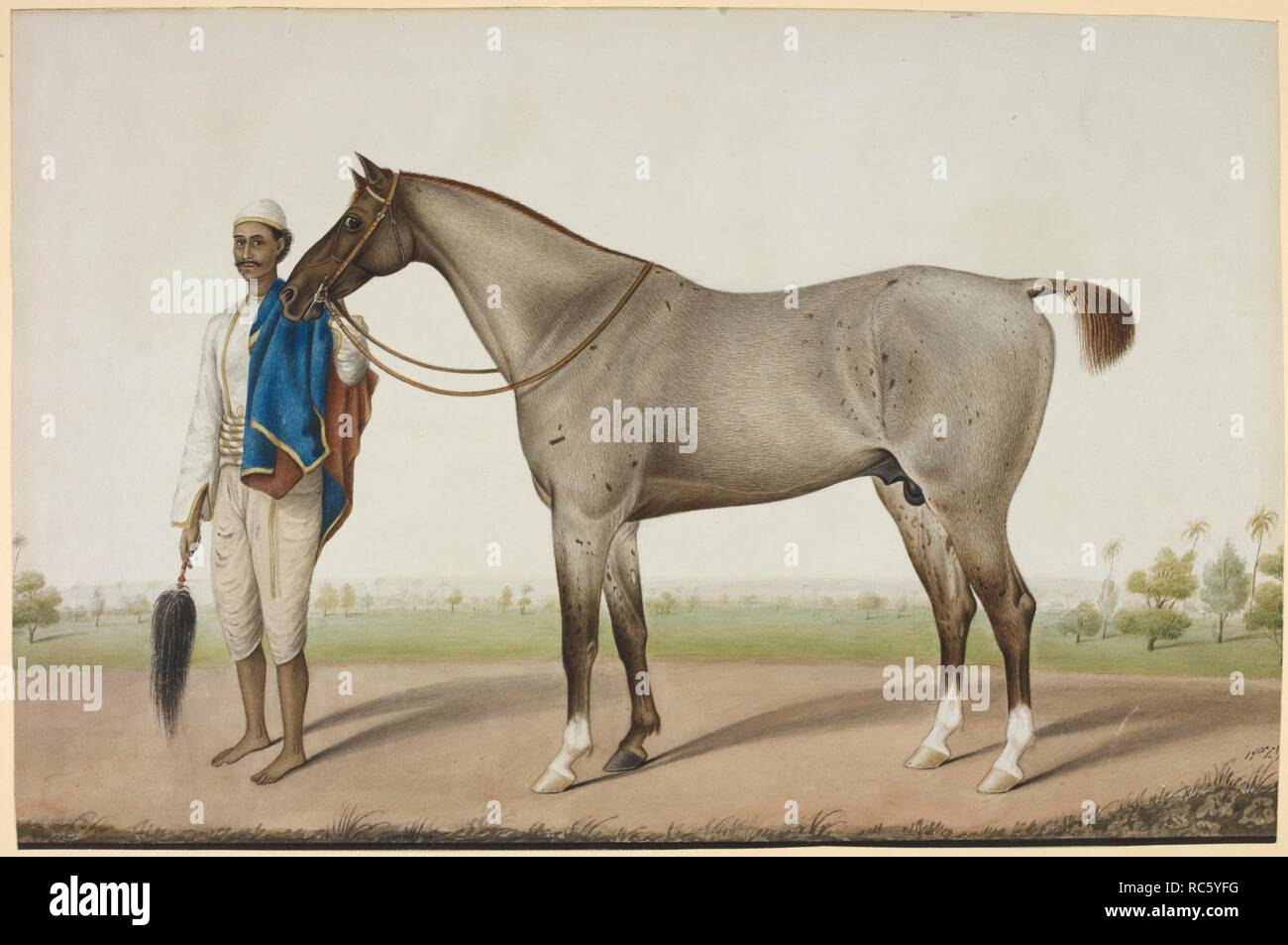 Un morso delle pulci cavallo grigio con il suo sposo tenendo un fly-frusta e un rosso e blu di cavallo-panno. c.1845. Acquerello. Fonte: Add.o.489. Autore: Muhammad Amir, Sheikh, di Karraya. Foto Stock