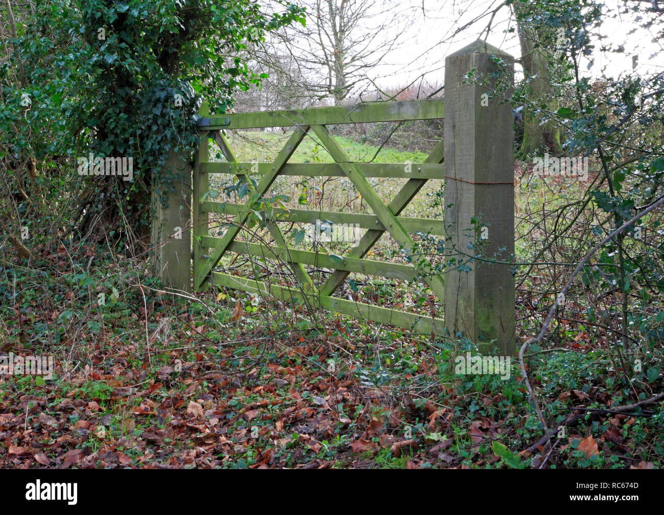 Un tradizionale a 5 bar cancello di legno nella campagna di Norfolk a Irstead, Norfolk, Inghilterra, Regno Unito, Europa. Foto Stock