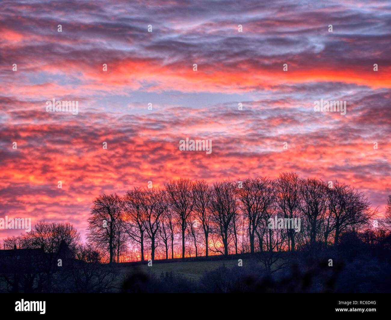 Wirksworth, Derbyshire Dales. 14 gennaio 2019. Regno Unito: Meteo spettacolare alba da Hatfield Farm, Wirksworth nel Derbyshire Dales, Parco Nazionale di Peak District Credit: Doug Blane/Alamy Live News Foto Stock