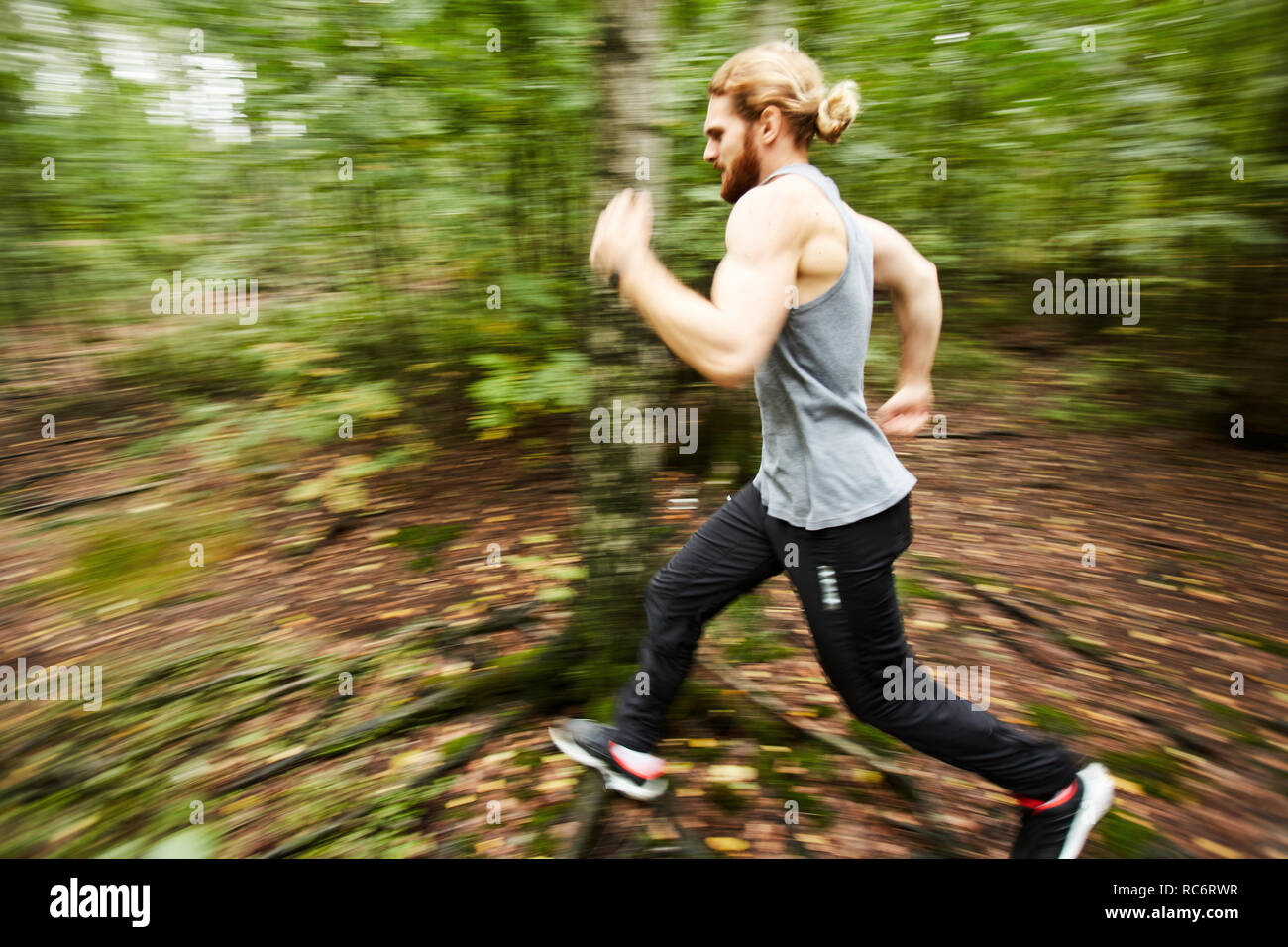 Moto sportive Foto Stock
