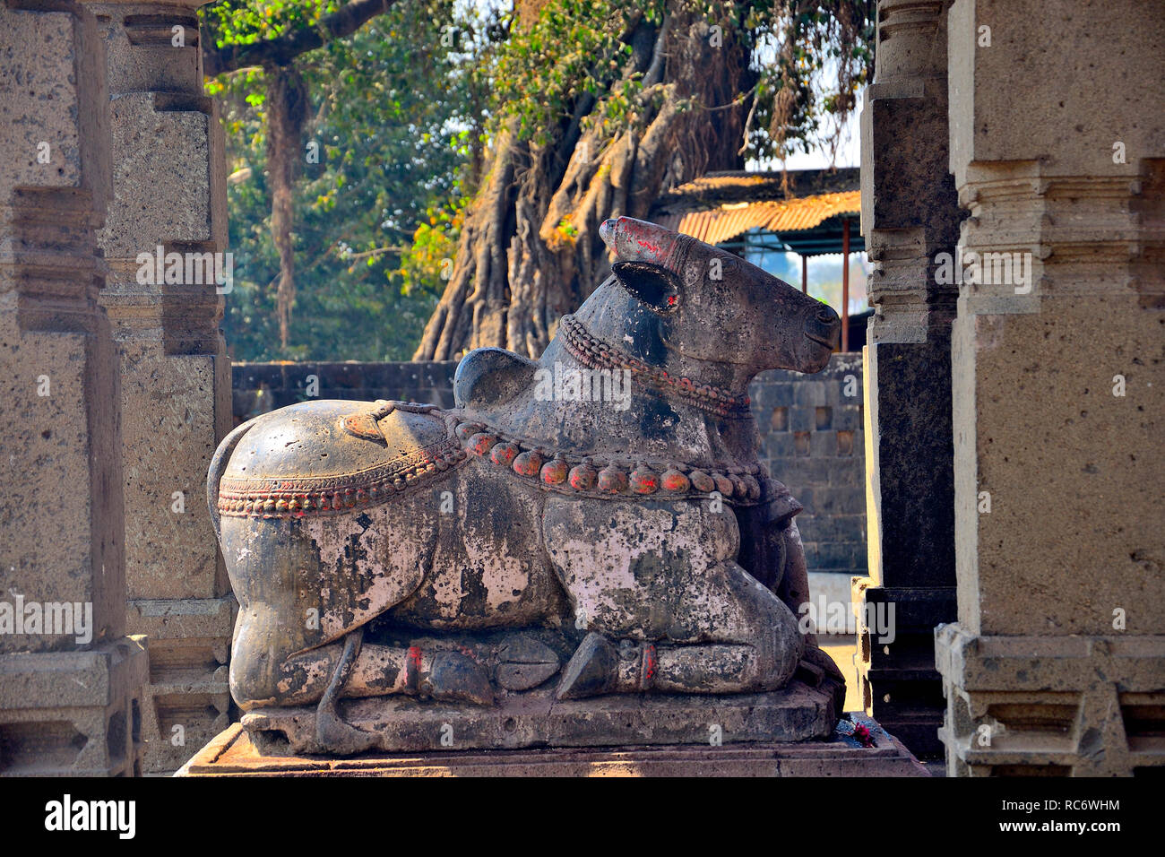 Idol di Nandi a Dakshin Kashi Shiv Mandir, Mahuli Sangam, Satara, Maharashtra, India Foto Stock