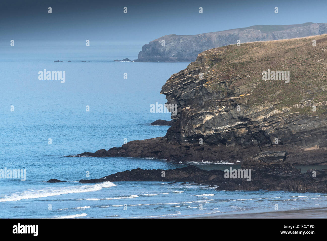 Il robusto North Cornwall Coast che mostra il punto di stelo nella fiorground e punto di grifoni in background. Foto Stock
