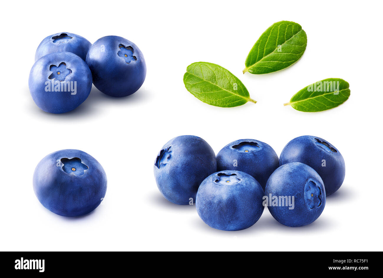 Set di mirtilli con foglie isolati su sfondo bianco. Foto Stock