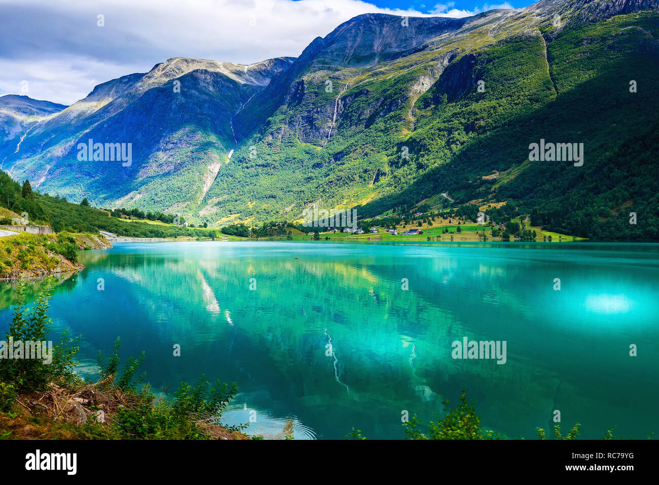 Paesaggio Norvegese Con Il Fiordo Nordfjord Montagne Fiori E Il Ghiacciaio In Olden Norvegia Foto Stock Alamy