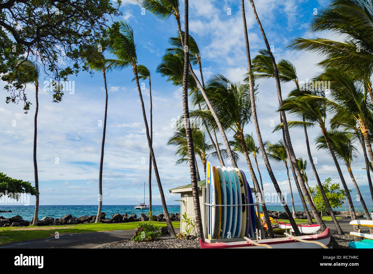 Gli alberi di palma, tavole da surf e l'Oceano - Makaiwa Bay, Hawaii Foto Stock