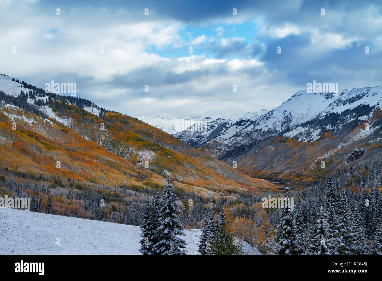 San Juan Mountains in colori autunnali e neve, Colorado Foto Stock