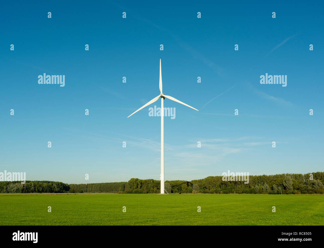Turbina eolica sulla riserva naturale, Paesi Bassi Foto Stock