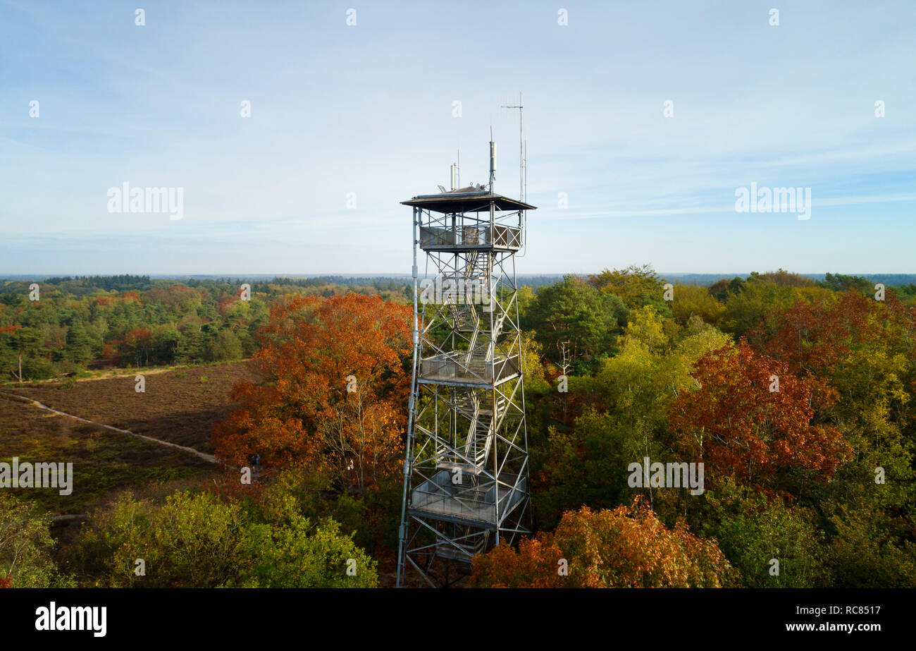 Torre di avvistamento in autunno boschi, ora utilizzato principalmente per la comunicazione mobile antenne, vista in elevazione, Paesi Bassi Foto Stock