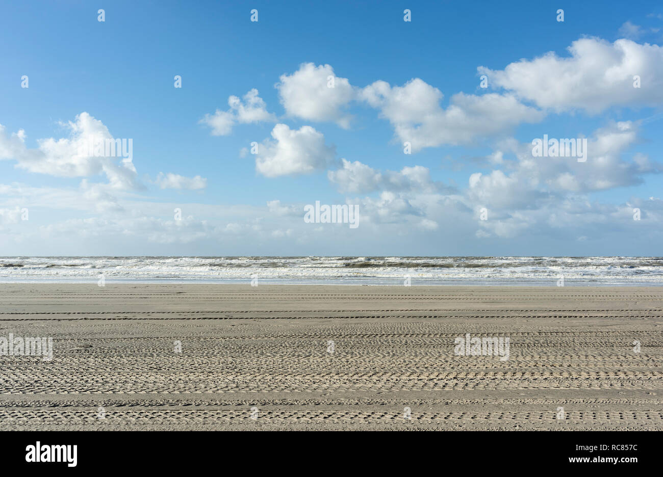 Spiaggia del mare del Nord con tracce di pneumatici, Paesi Bassi Foto Stock