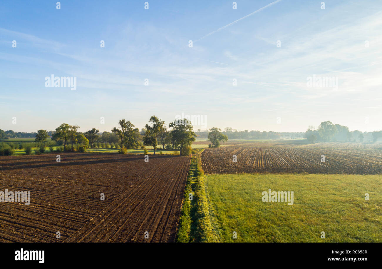 Paesaggio di campo in autunno la luce solare, vista in elevazione, Paesi Bassi Foto Stock
