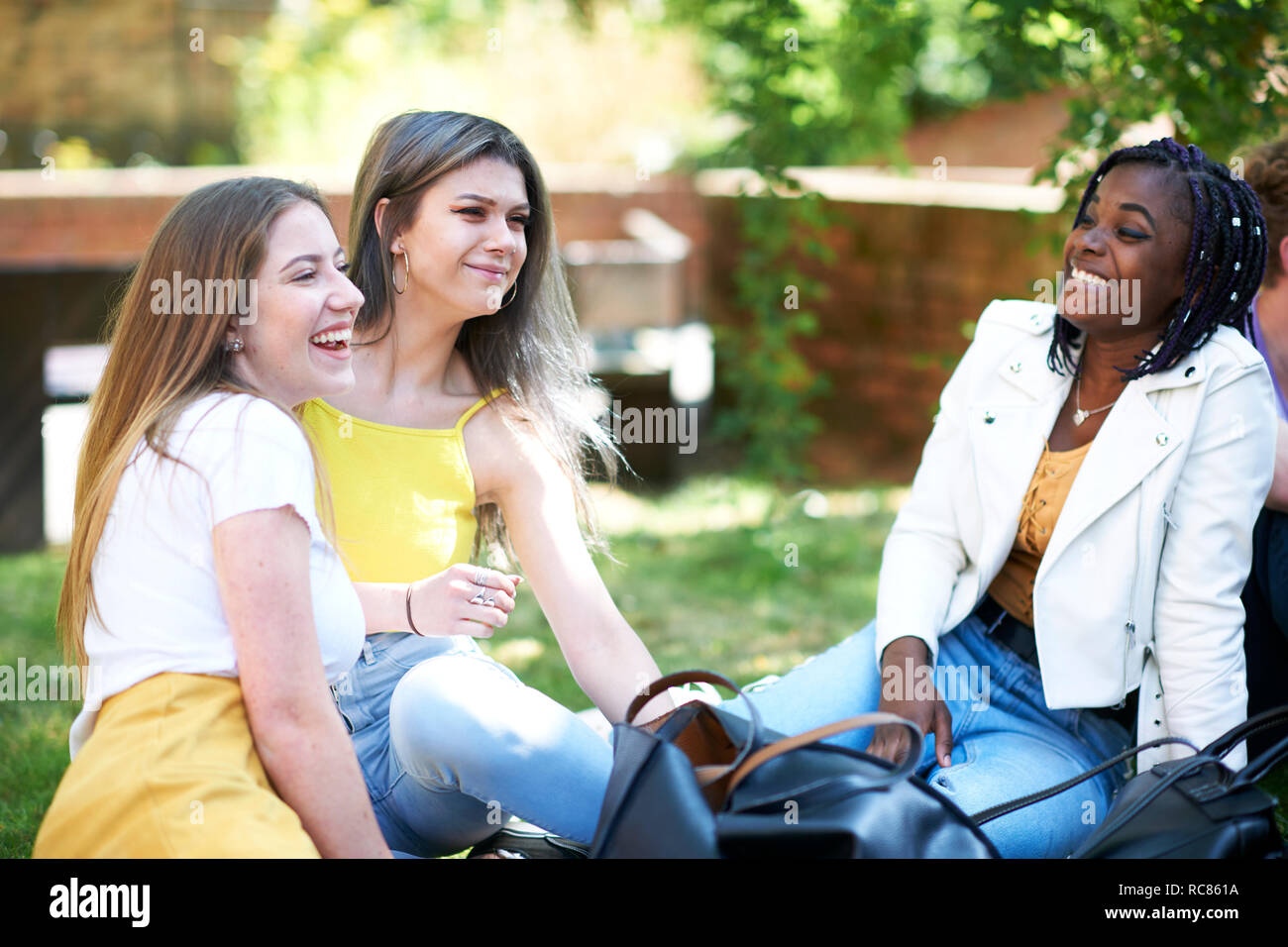 Femmina di studenti universitari in chat su college campus prato Foto Stock