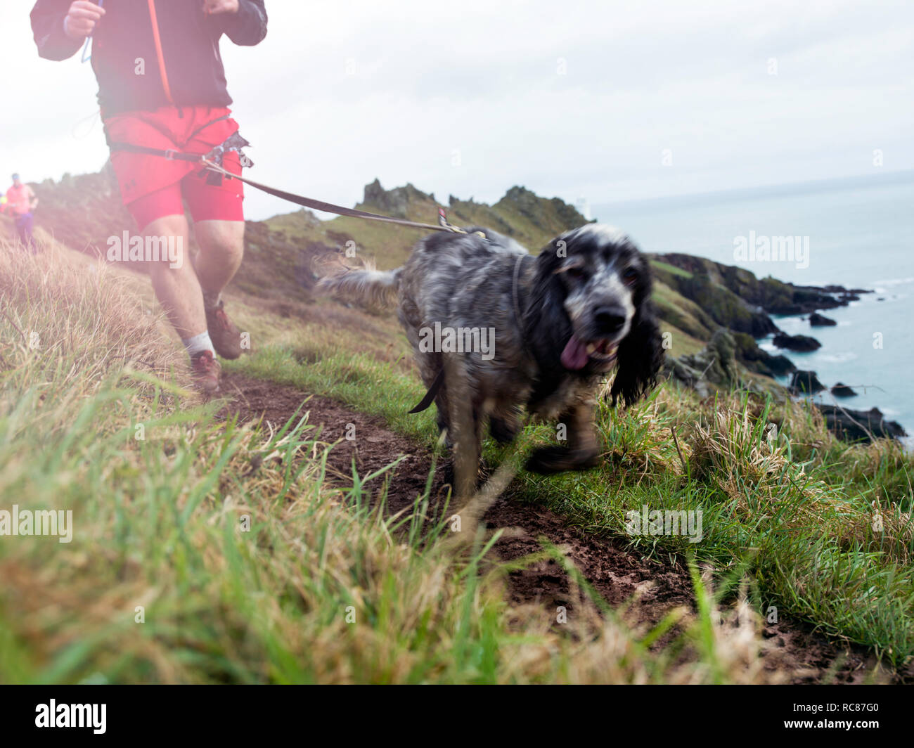 Running Man con il cane a mani libere guinzaglio dal mare Foto Stock