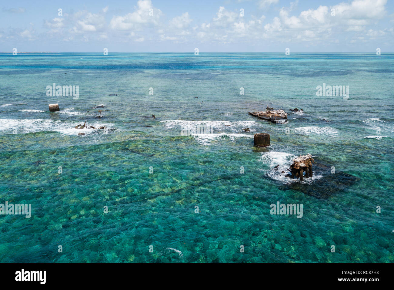 Vita della barriera corallina e vecchi relitti, Alacranes, Campeche, Messico Foto Stock