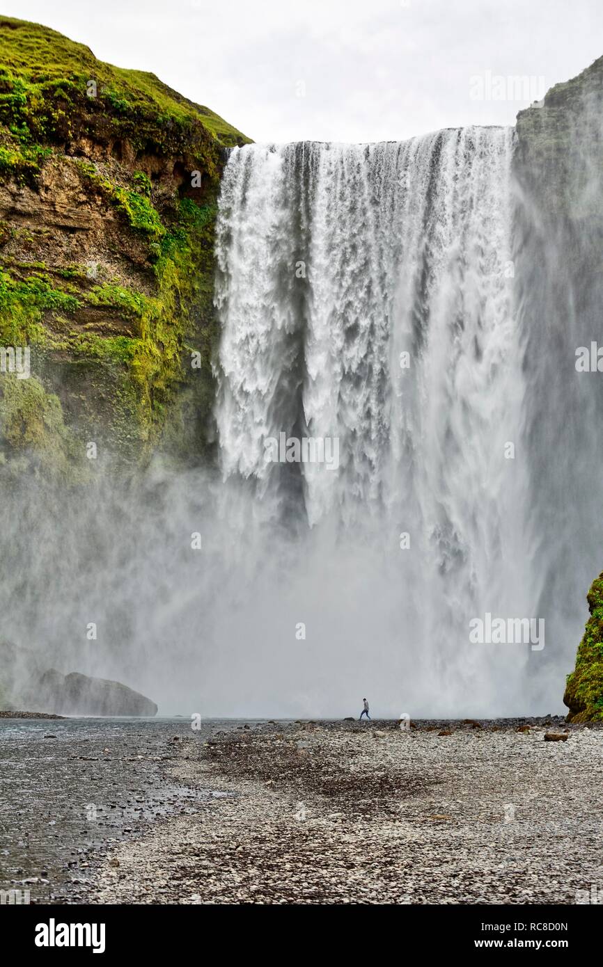 Skogafoss, cascata vicino alla circonvallazione, Suðurland, Sudurland, Sud Islanda Islanda Foto Stock