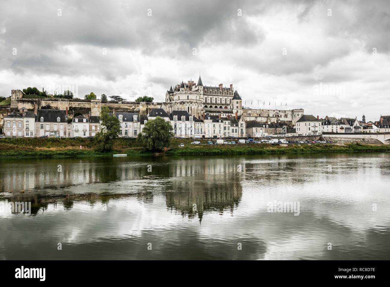 Città vecchia con il castello e la Loira, Amboise, Dipartimento Indre-et-Loire, Regione Centro, Francia Foto Stock