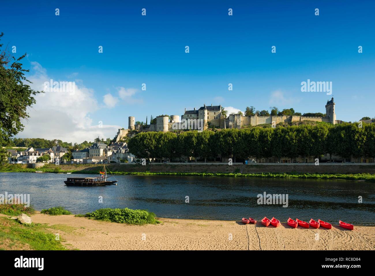 Chinon, Dipartimento Indre-et-Loire, Regione centrale, Francia Foto Stock