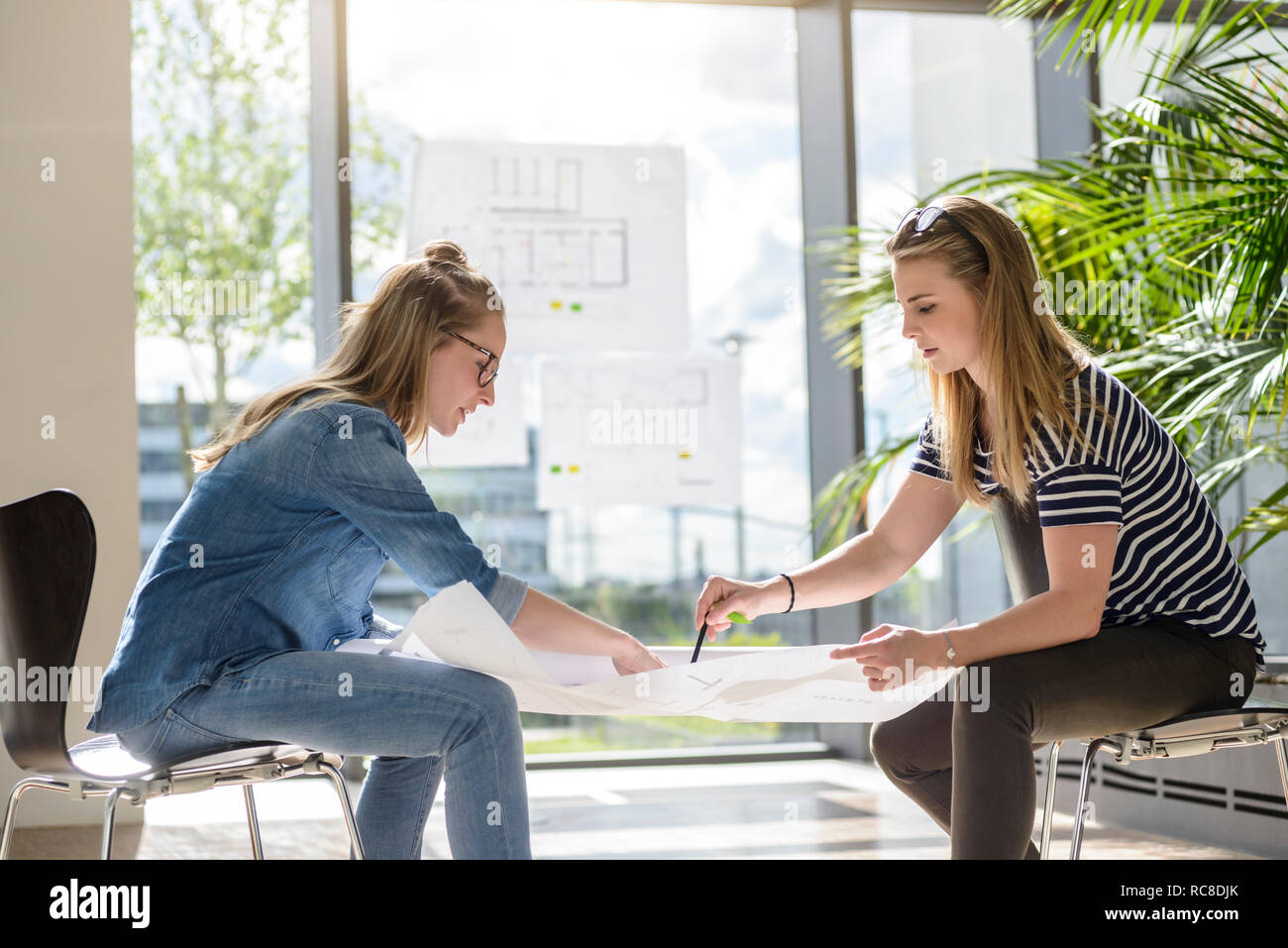 Colleghi il brainstorming su grafici in condizioni di luce solare intensa Foto Stock